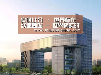 案例展示四
