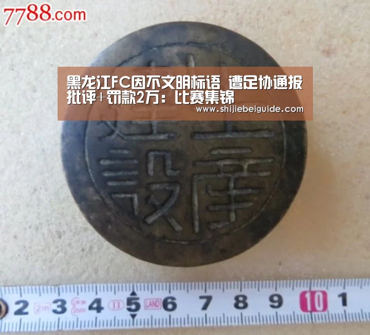黑龙江FC因不文明标语 遭足协通报批评+罚款2万:比赛集锦(图1) 比赛集锦