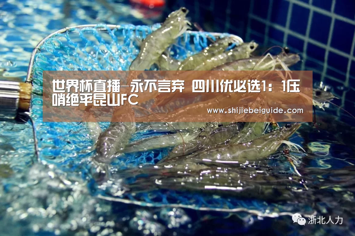 比赛集锦