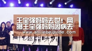 王宝强妈妈去世!网曝王宝强妈妈因病去世 今日出殡‘比赛集锦’(图1) 世界杯