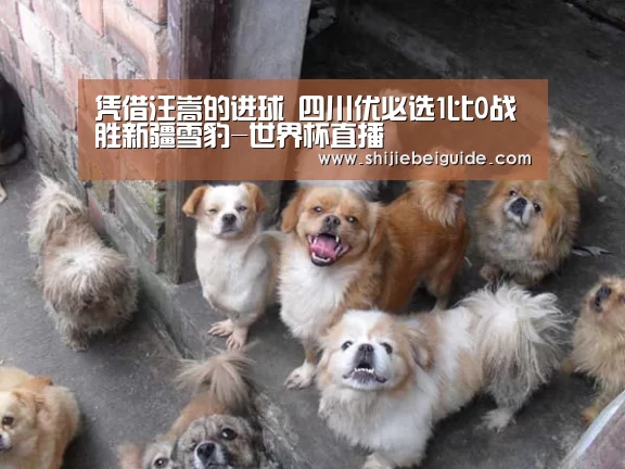 凭借汪嵩的进球 四川优必选1比0战胜新疆雪豹-世界杯直播(图4) 实时比分