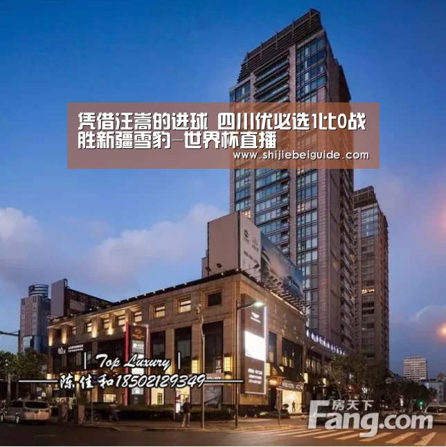 凭借汪嵩的进球 四川优必选1比0战胜新疆雪豹-世界杯直播(图3) 世界杯