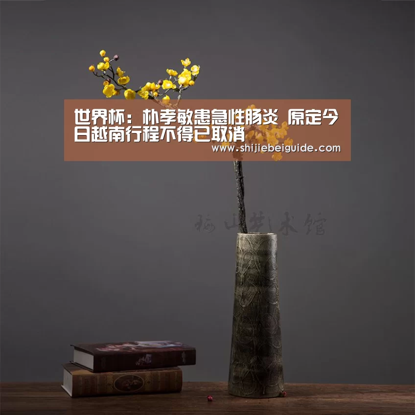 世界杯:朴孝敏患急性肠炎 原定今日越南行程不得已取消(图1) 世界杯直播