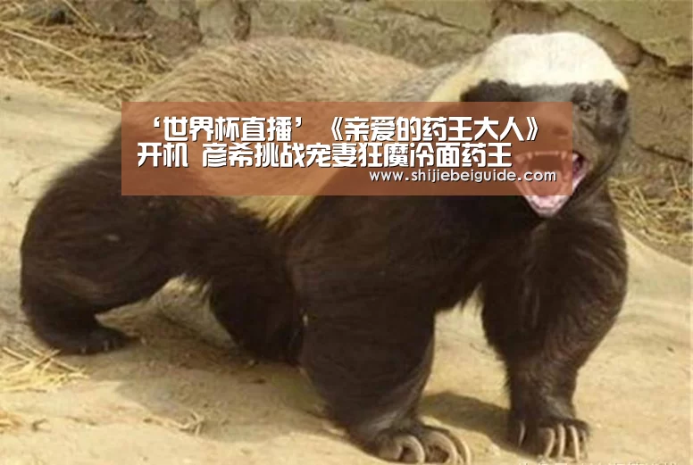 ‘世界杯直播’《亲爱的药王大人》开机 彦希挑战宠妻狂魔冷面药王(图1) 世界杯
