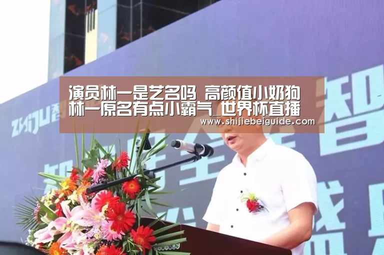 演员林一是艺名吗 高颜值小奶狗林一原名有点小霸气_世界杯直播(图4) 比赛集锦